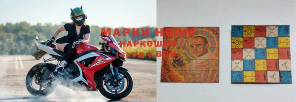 гашик Абинск