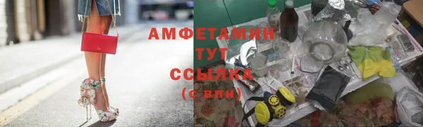 дурь Дубовка
