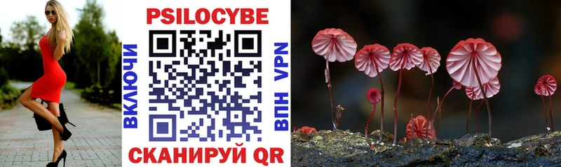 Галлюциногенные грибы Psilocybine cubensis  сколько стоит  Торопец 